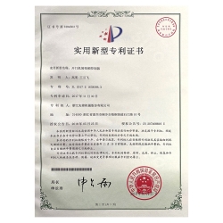 實(shí)用新型專利 (2)